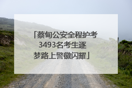 蔡甸公安全程护考 3493名考生逐梦路上警徽闪耀