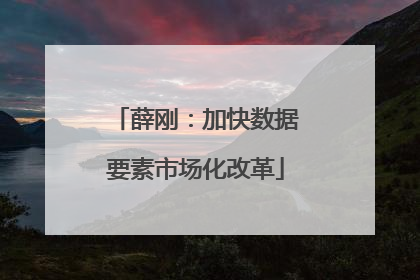 薛刚：加快数据要素市场化改革