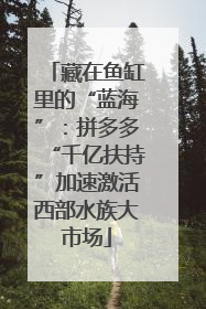 藏在鱼缸里的“蓝海”：拼多多“千亿扶持”加速激活西部水族大市场