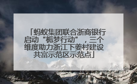蚂蚁集团联合浙商银行启动“栀梦行动”，三个维度助力浙江下姜村建设共富示范区示范点