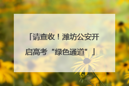 请查收！潍坊公安开启高考“绿色通道”