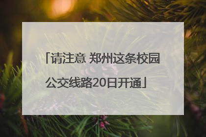 请注意 郑州这条校园公交线路20日开通