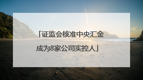 证监会核准中央汇金成为8家公司实控人