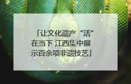 让文化遗产“活”在当下 江西集中展示百余项非遗技艺