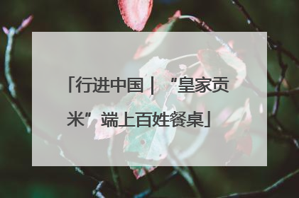 行进中国｜“皇家贡米”端上百姓餐桌