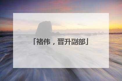 褚伟，晋升副部