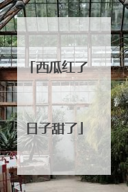 西瓜红了 日子甜了