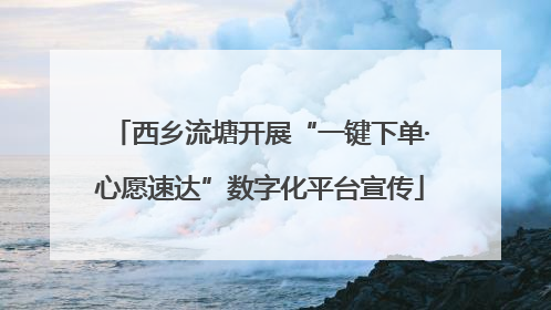 西乡流塘开展“一键下单·心愿速达”数字化平台宣传