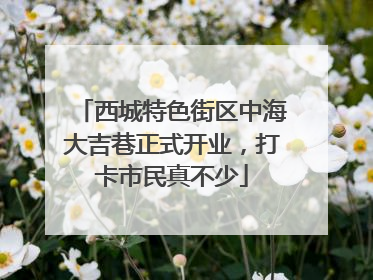 西城特色街区中海大吉巷正式开业，打卡市民真不少