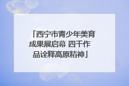 西宁市青少年美育成果展启幕 四千作品诠释高原精神