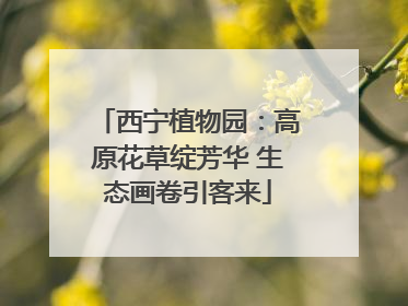 西宁植物园：高原花草绽芳华 生态画卷引客来