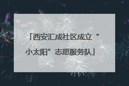 西安汇成社区成立“小太阳”志愿服务队