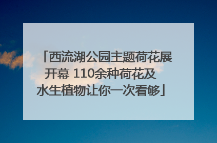 西流湖公园主题荷花展开幕 110余种荷花及水生植物让你一次看够