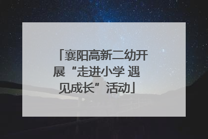 襄阳高新二幼开展“走进小学 遇见成长”活动