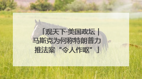 观天下·美国政坛｜马斯克为何称特朗普力推法案“令人作呕”