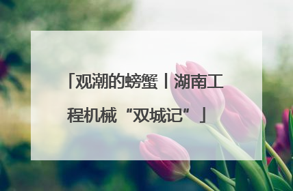 观潮的螃蟹丨湖南工程机械“双城记”