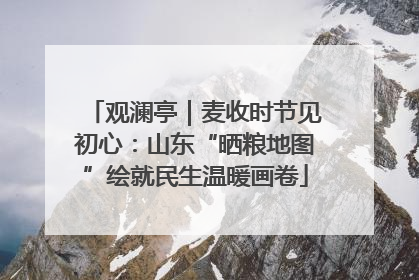 观澜亭｜麦收时节见初心：山东“晒粮地图”绘就民生温暖画卷