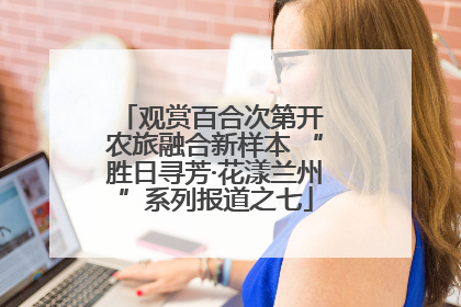 观赏百合次第开 农旅融合新样本 “胜日寻芳·花漾兰州”系列报道之七