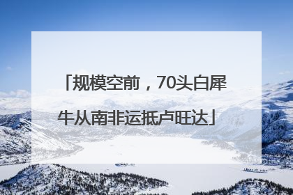 规模空前，70头白犀牛从南非运抵卢旺达