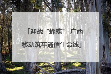迎战“蝴蝶” 广西移动筑牢通信生命线