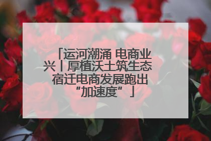 运河潮涌 电商业兴丨厚植沃土筑生态 宿迁电商发展跑出“加速度”