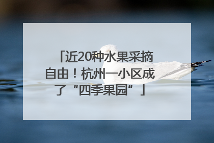 近20种水果采摘自由！杭州一小区成了“四季果园”