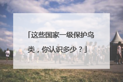 这些国家一级保护鸟类，你认识多少？
