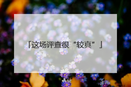 这场评查很“较真”