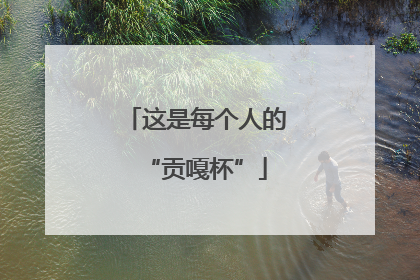 这是每个人的“贡嘎杯”