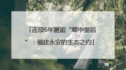 连续6年邂逅“蝶中皇后”：福建永安的生态之约