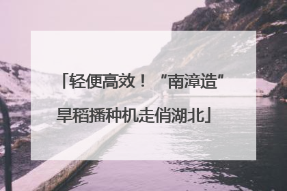 轻便高效！“南漳造”旱稻播种机走俏湖北