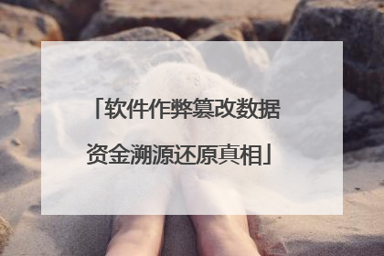软件作弊篡改数据 资金溯源还原真相