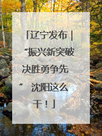 辽宁发布｜“振兴新突破 决胜勇争先” 沈阳这么干！