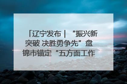 辽宁发布｜“振兴新突破 决胜勇争先”盘锦市锚定“五方面工作”力争全年地区生产总值增长5.5%左右