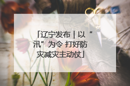 辽宁发布｜以“汛”为令 打好防灾减灾主动仗