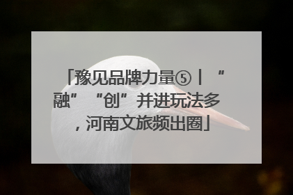 豫见品牌力量⑤丨“融”“创”并进玩法多，河南文旅频出圈