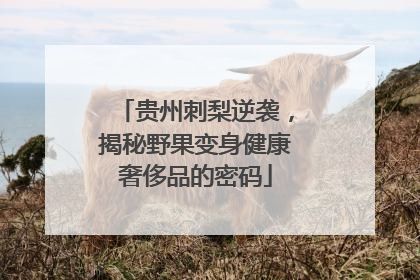 贵州刺梨逆袭，揭秘野果变身健康奢侈品的密码