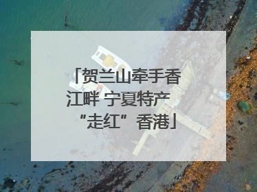 贺兰山牵手香江畔 宁夏特产“走红”香港