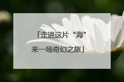 走进这片“海”来一场奇幻之旅