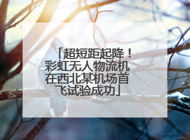 超短距起降！彩虹无人物流机在西北某机场首飞试验成功