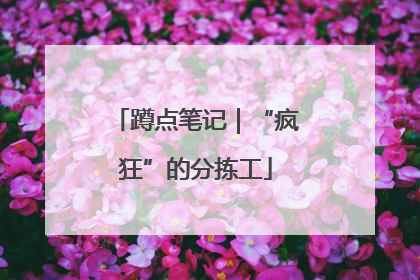 蹲点笔记｜“疯狂”的分拣工