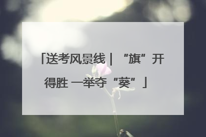 送考风景线｜“旗”开得胜 一举夺“葵”
