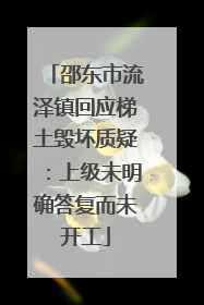 邵东市流泽镇回应梯土毁坏质疑：上级未明确答复而未开工