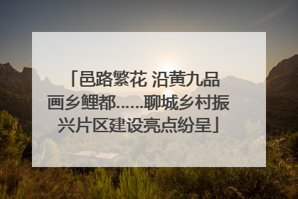 邑路繁花 沿黄九品 画乡鲤都……聊城乡村振兴片区建设亮点纷呈