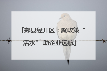 郏县经开区：聚政策“活水” 助企业远航