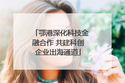 鄂港深化科技金融合作 共建科创企业出海通道