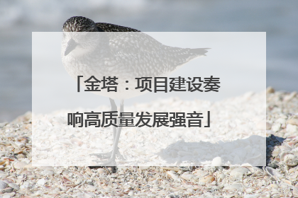 金塔：项目建设奏响高质量发展强音