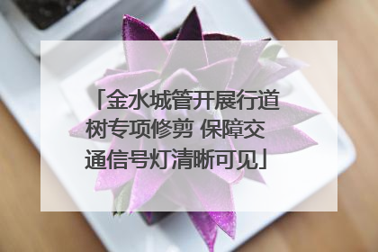 金水城管开展行道树专项修剪 保障交通信号灯清晰可见