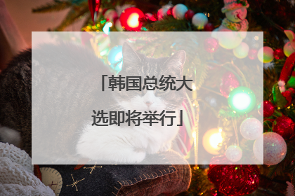 韩国总统大选即将举行