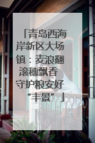 青岛西海岸新区大场镇：麦浪翻滚穗飘香 守护粮安好“丰景”